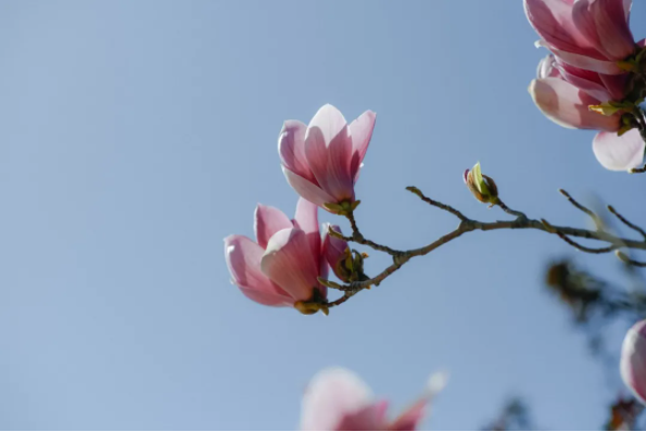 1644477995138484.png QQ圖片20220210151310.png