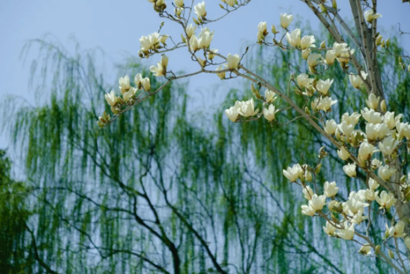 1644478001134732.png QQ圖片20220210151330.png