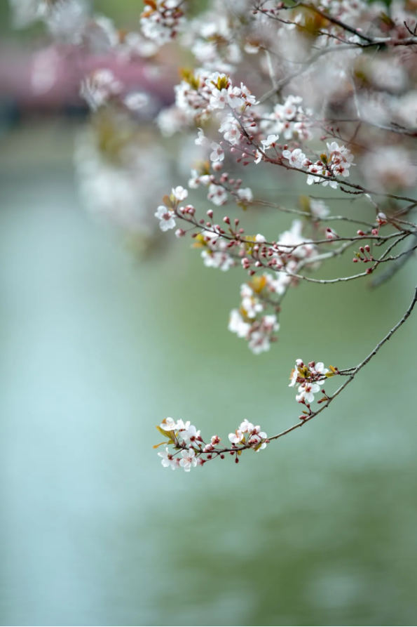 1644478038376097.png QQ圖片20220210151415.png