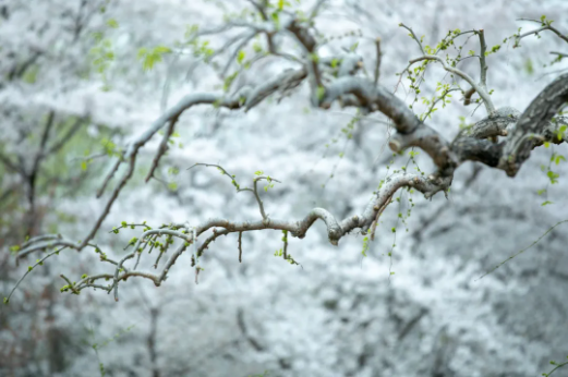 1644478070164424.png QQ圖片20220210151526.png