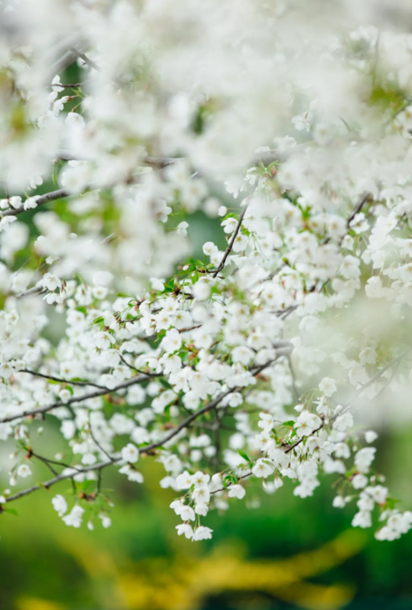 1644478089149320.png QQ圖片20220210151614.png