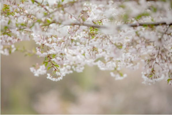 1644478114789848.png QQ圖片20220210151630.png