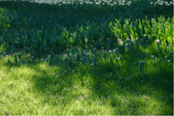 1644478136195364.png QQ圖片20220210151647.png