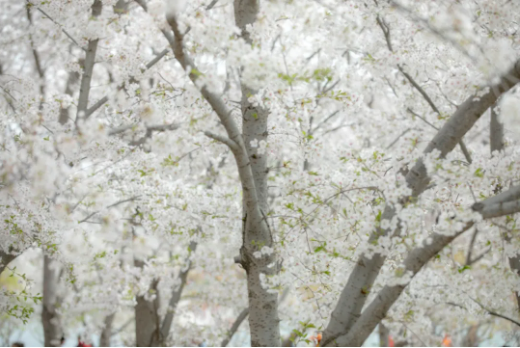 1644478163485355.png QQ圖片20220210151725.png