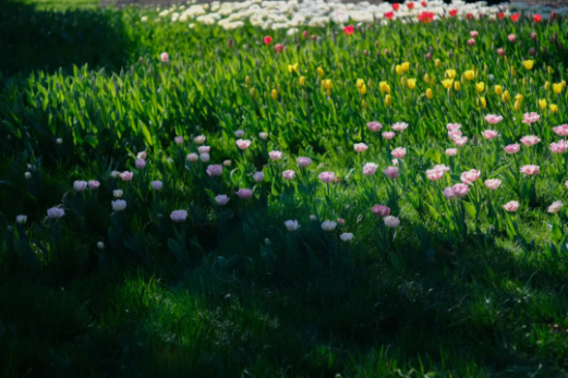 1644478171128449.png QQ圖片20220210151742.png