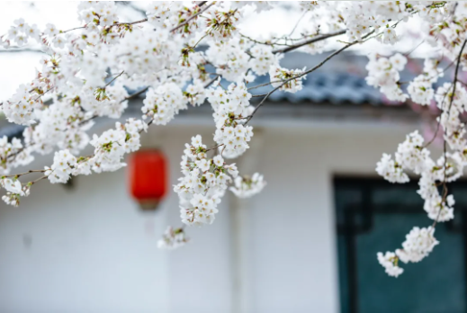 1644478188150439.png QQ圖片20220210151800.png