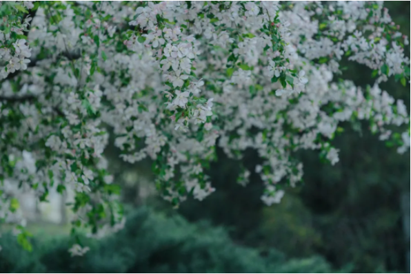 1644478204534971.png QQ圖片20220210151822.png