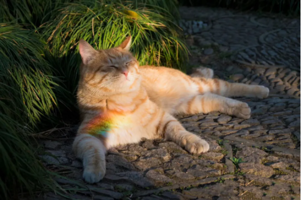 1644819934133062.png QQ圖片20220214141801.png