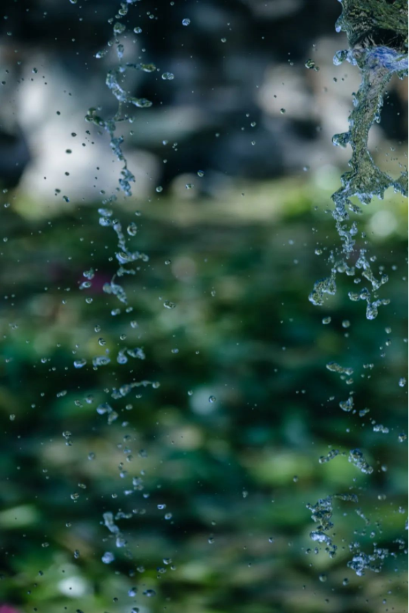 1652424213100560.png QQ圖片20220513142824.png