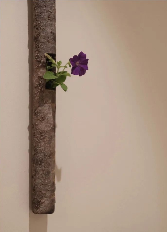 1652770014161971.png QQ圖片20220517142800.png