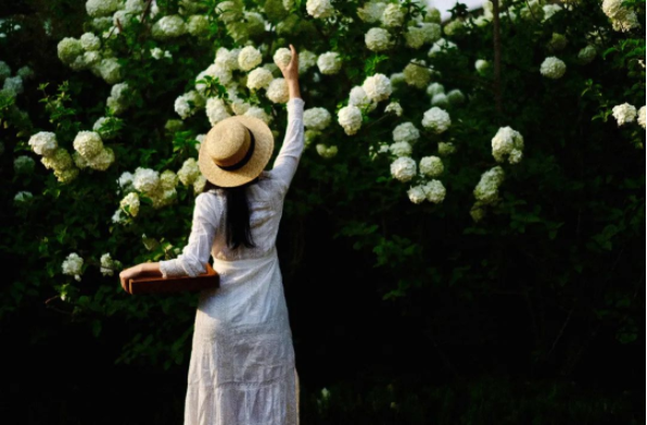 1652770032590826.png QQ圖片20220517142826.png