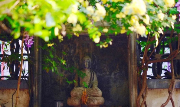 1652770117122274.png QQ圖片20220517143031.png