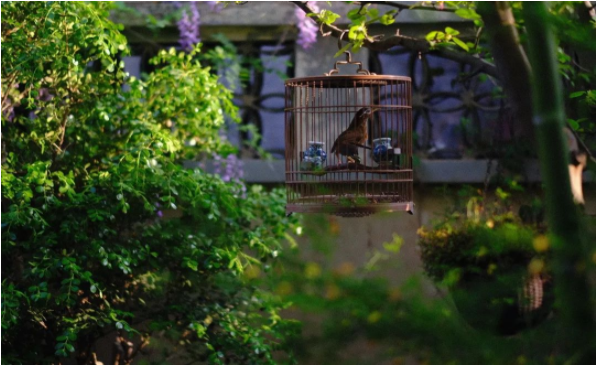 1652770160120807.png QQ圖片20220517143122.png