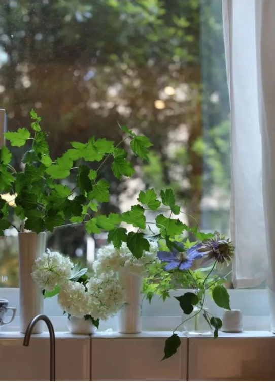 1652922372278802.png QQ圖片20220518143354.png