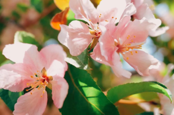 1652922442107067.png QQ圖片20220518143502.png