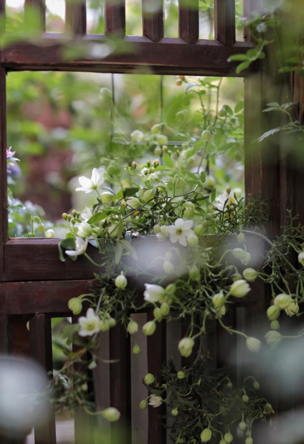 1652922557119951.png QQ圖片20220518165648.png