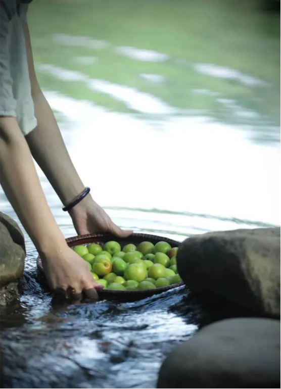 1655341804981425.png QQ圖片20220614145335.png