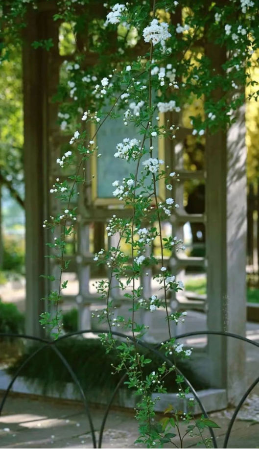 1655341862926000.png QQ圖片20220614145514.png