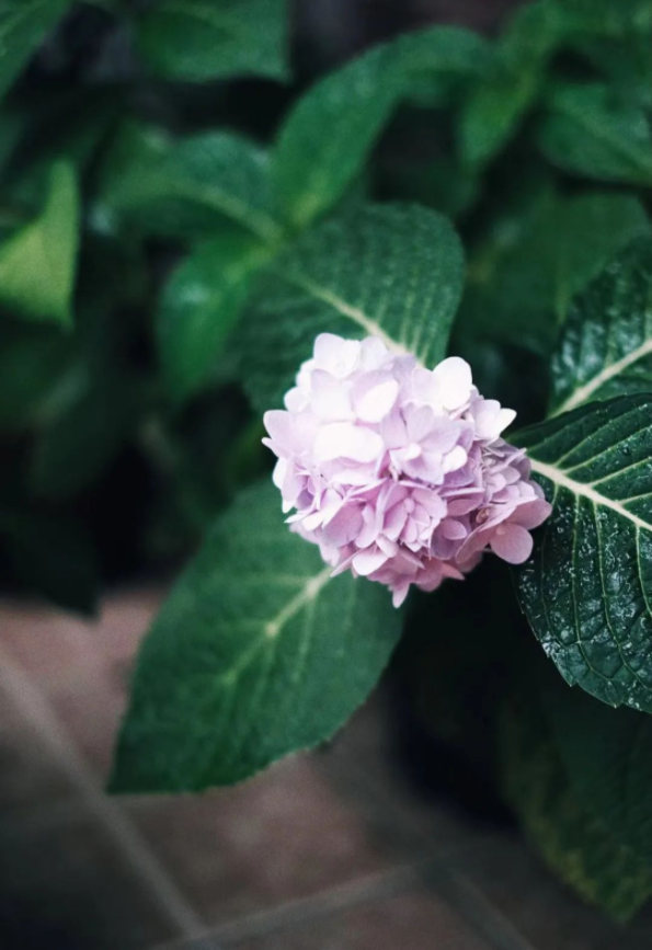 1655341902376398.png QQ圖片20220614145613.png