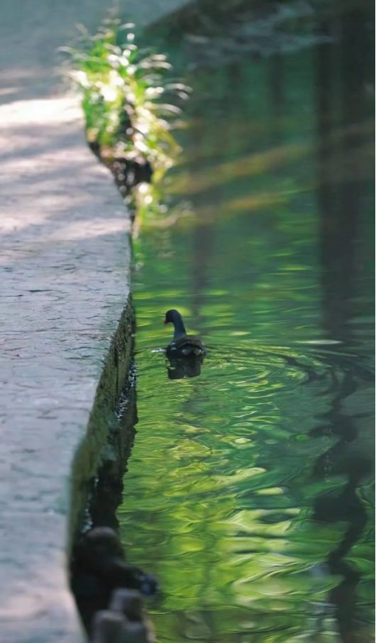 1655341916132335.png QQ圖片20220614145642.png