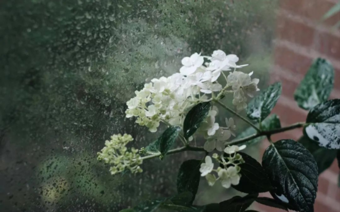 1655341932595172.png QQ圖片20220614145710.png