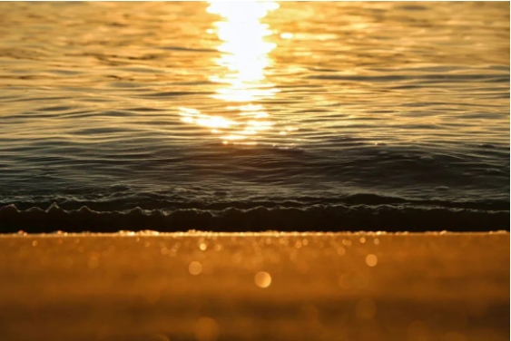 1655688811114722.png QQ圖片20220620091719.png