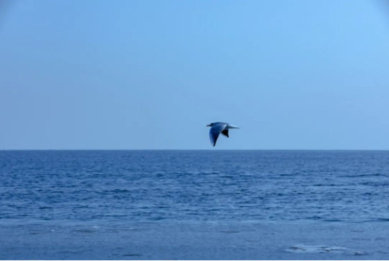 1655688822352172.png QQ圖片20220620091742.png