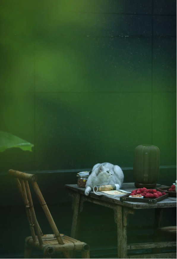 1657783056119645.png QQ圖片20220714093636.png