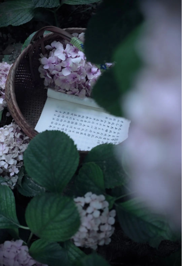 1657783188104343.png QQ圖片20220714094017.png