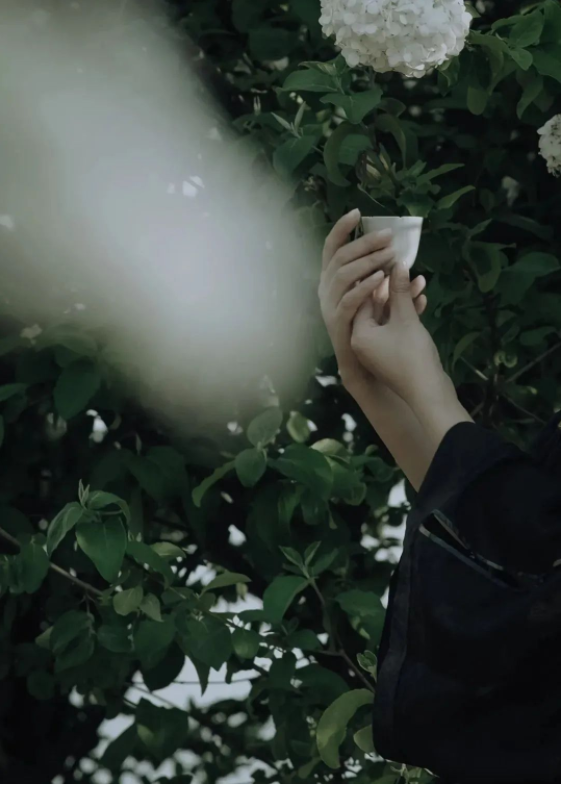 1657783197352086.png QQ圖片20220714094043.png