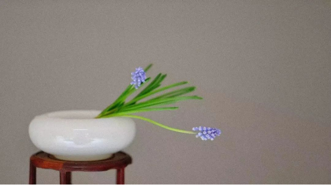 1658296598470122.png QQ圖片20220720100559.png