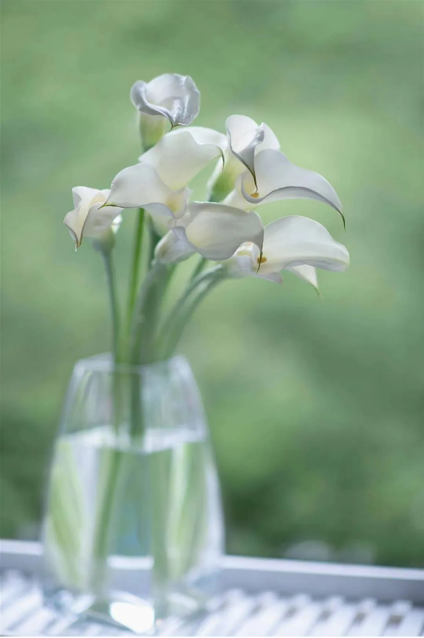 1658296653263784.png QQ圖片20220720100756.png