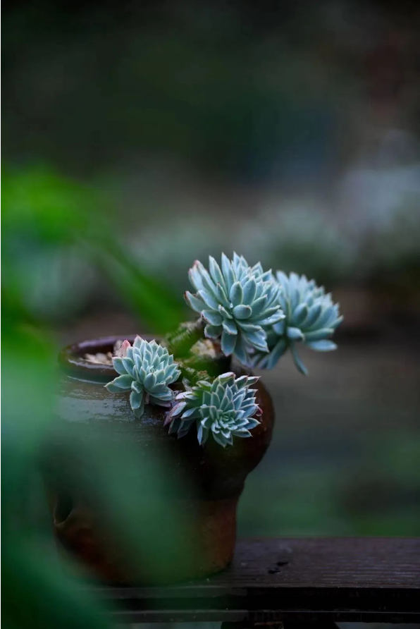 1658296822648488.png QQ圖片20220720101145.png