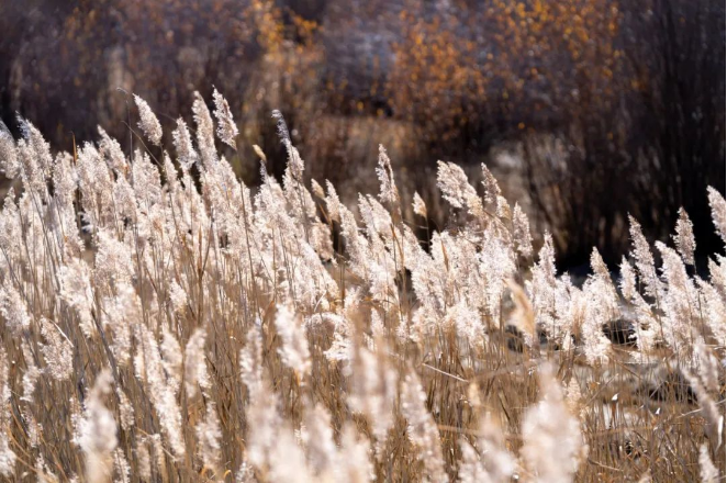 1663056713638032.png QQ圖片20220913160504.png