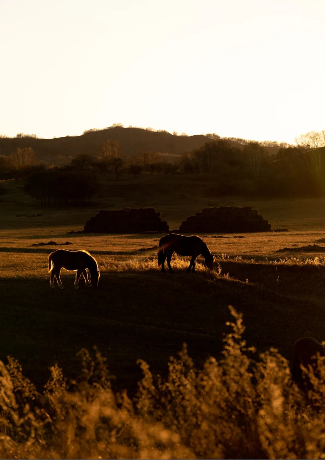 1663056752107708.png QQ圖片20220913160605.png