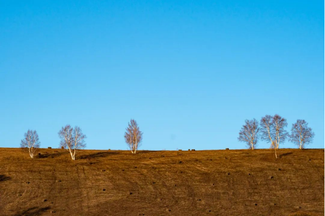 1663056771135924.png QQ圖片20220913160648.png