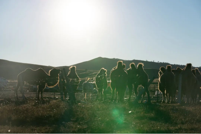 1663056814758263.png QQ圖片20220913160756.png