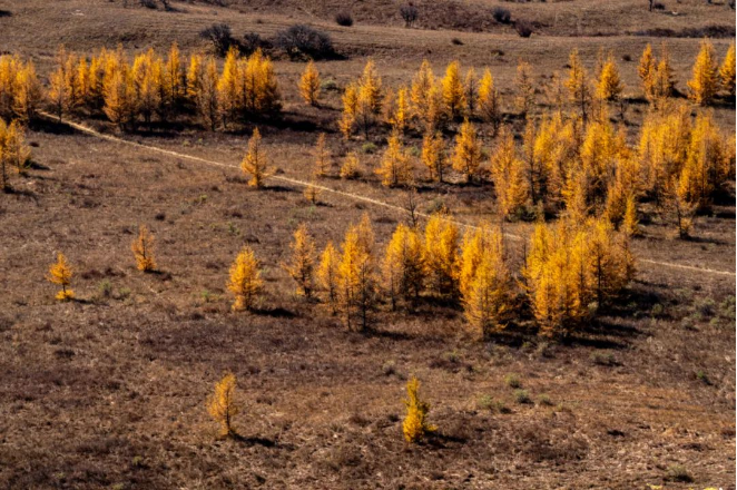 1663056833127627.png QQ圖片20220913160815.png