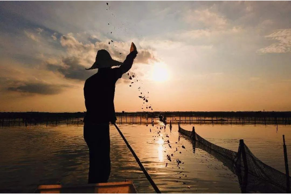 1663120725885077.png QQ圖片20220914094913.png