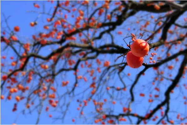 1663120831100771.png QQ圖片20220914095151.png