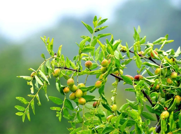 1663120842140490.png QQ圖片20220914095210.png