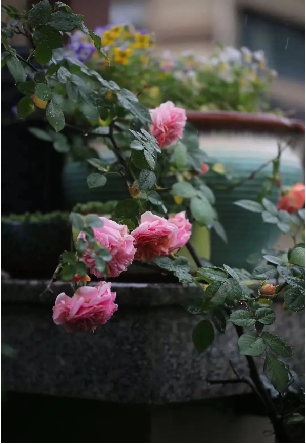 1663311571718845.png QQ圖片20220916145110.png