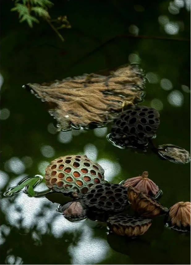 1666060600116616.png QQ圖片20221018092757.png