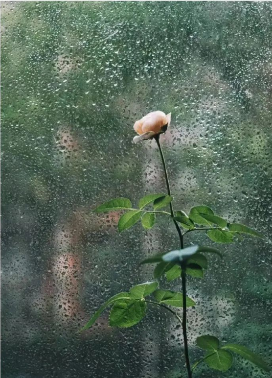 1666230362120058.png QQ圖片20221020092444.png