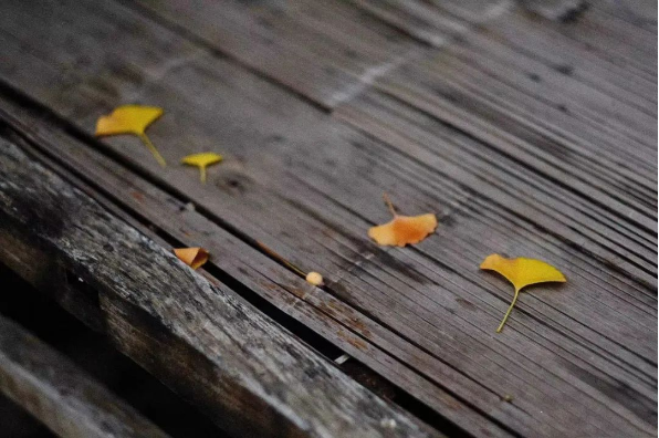 1666230427121995.png QQ圖片20221020092623.png