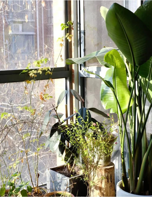 1666230455625596.png QQ圖片20221020092700.png