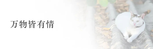 1668407082921998.png QQ圖片20221114135255.png