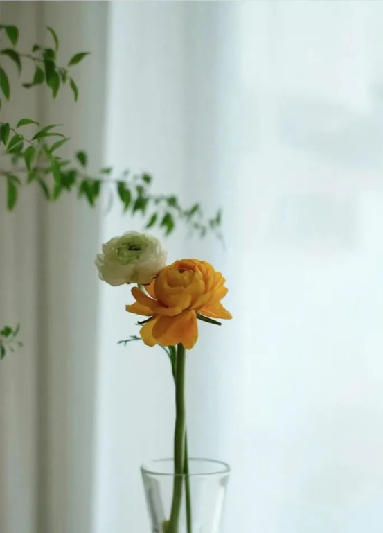 1668580452528860.png QQ圖片20221116140257.png