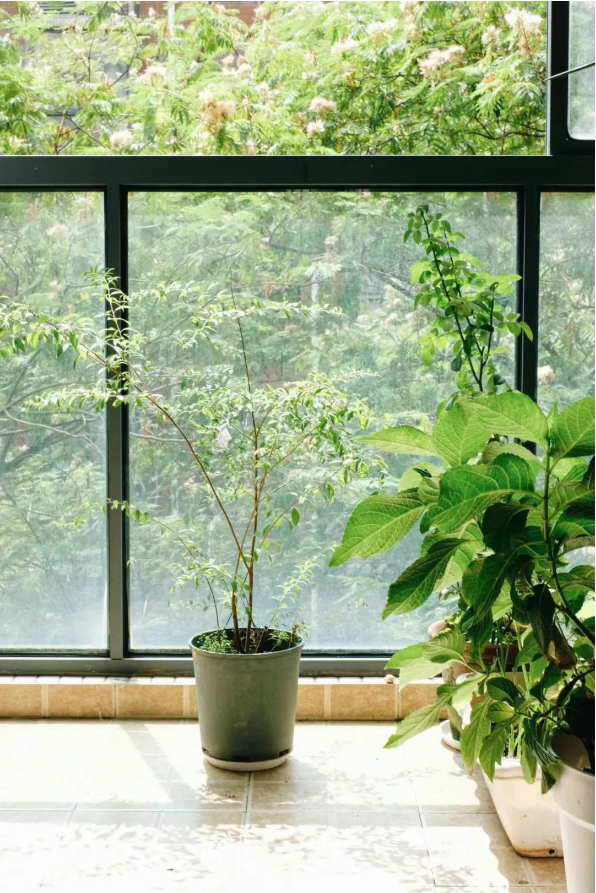 1668580491338531.png QQ圖片20221116140420.png