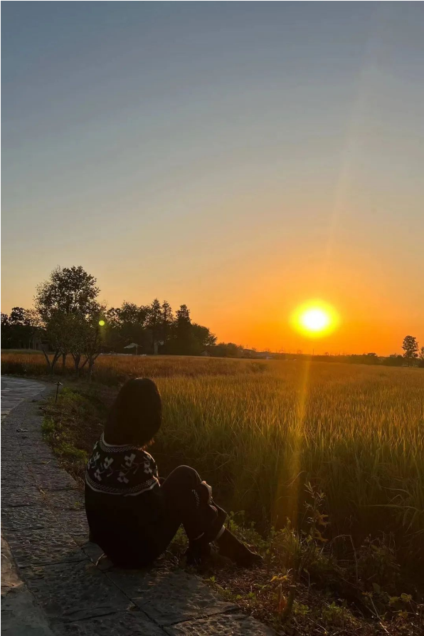 1668580516519866.png QQ圖片20221116140441.png